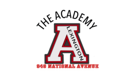 THE ACADEMY LLC